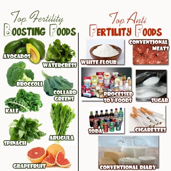 Top And Worst Fertility Foods Human